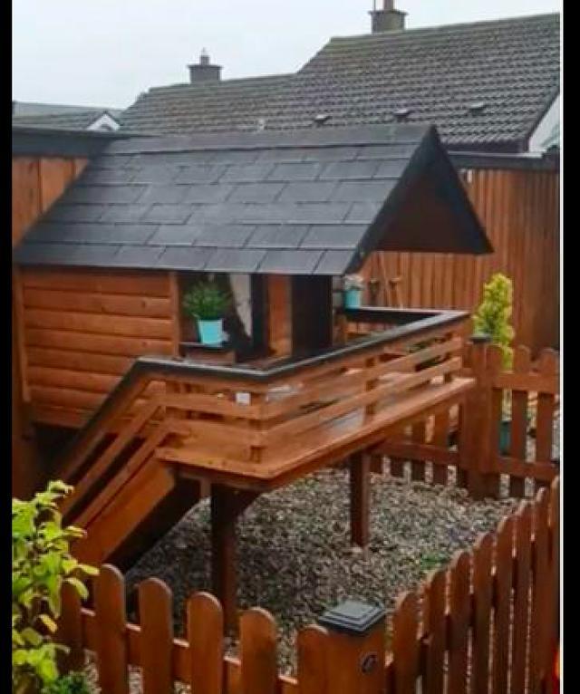 朋友家院子里有间别墅,是专门给边牧造的狗窝,狗:看啥?羡慕不