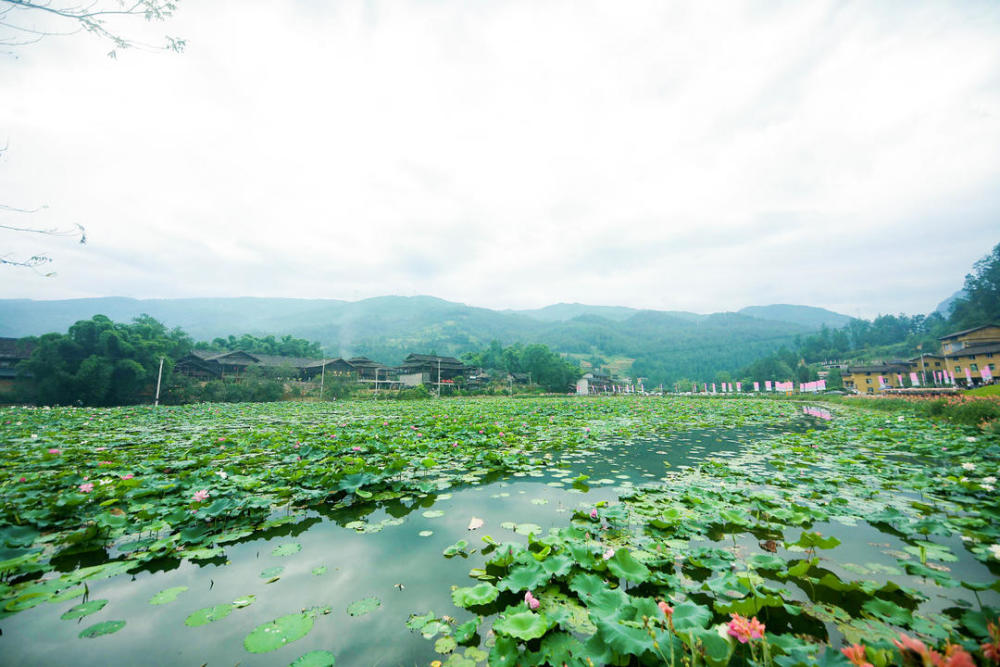 武隆新增兩處鄉村度假旅遊點大田溼地人家和萬峰吶溪原鄉開園