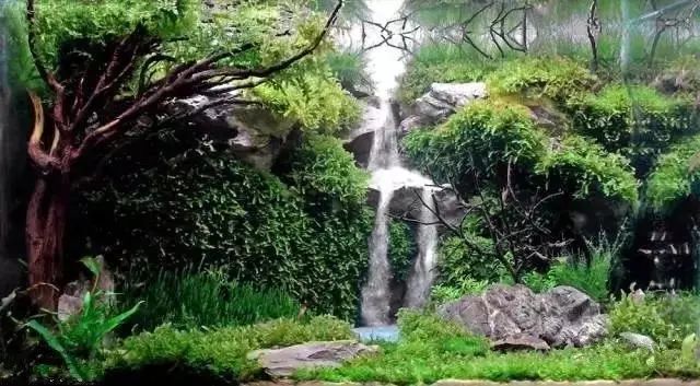 水草缸雨林造景水中瀑布