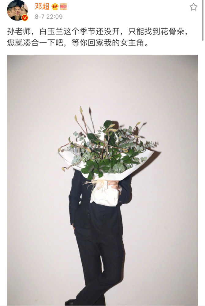 孙俪|孙俪突然发文：外力无用，最终还是要靠自我自愈身心，网友：邓先生呢