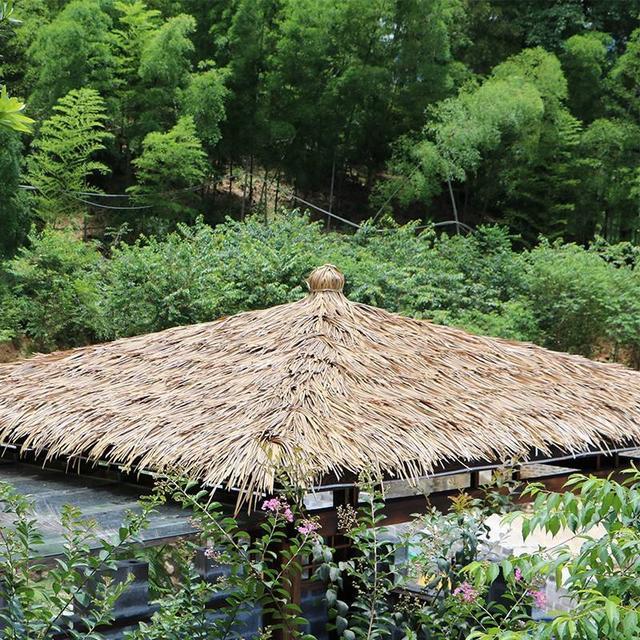 巴山夜雨|君问归期未有期，巴山夜雨涨秋池