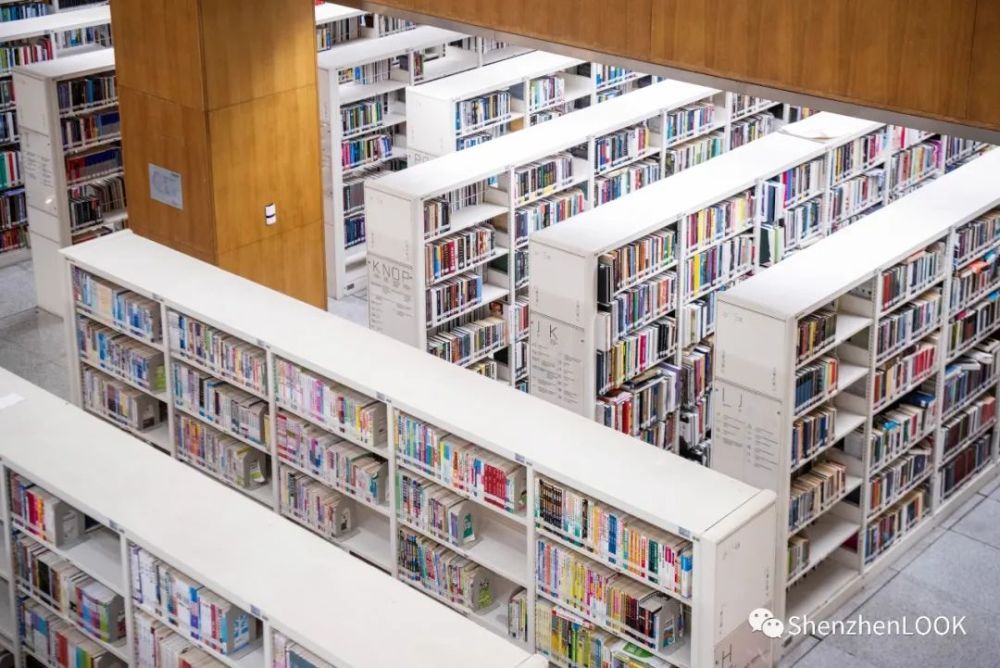 自然光线透过玻璃幕墙照亮整个空间拥有6层高的穹顶图书馆建筑面积