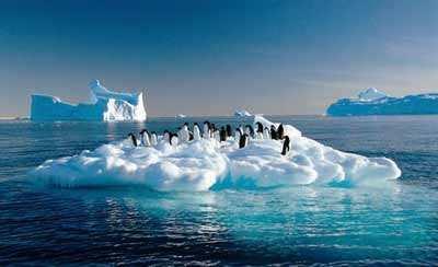 新冠病毒|传来坏消息，新冠病毒之外，上亿人或会因此遭受大难