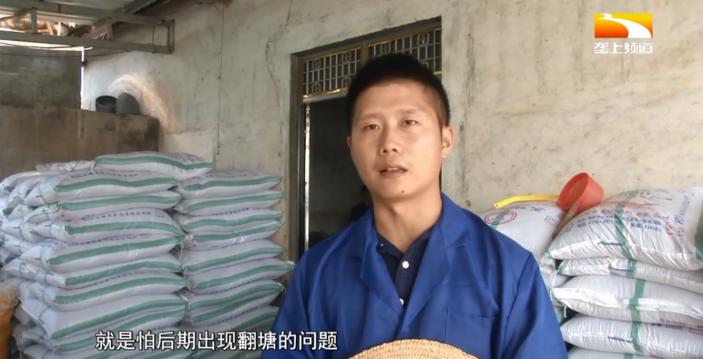 四大家鱼|高温天气下，鱼儿该怎么健康养殖呢？不妨试试这些小妙招