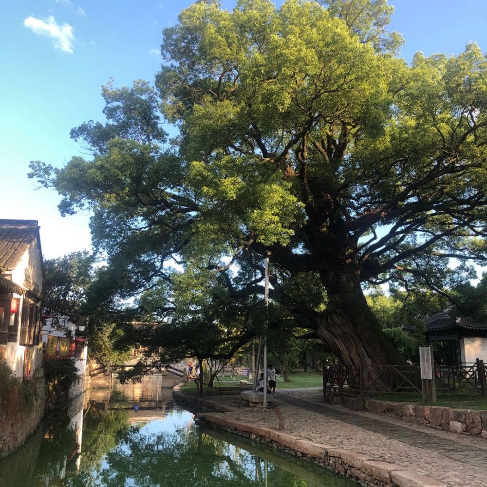 村内人口不多,因此氛围格外宁静,被称为是西山岛上少有的安静之处