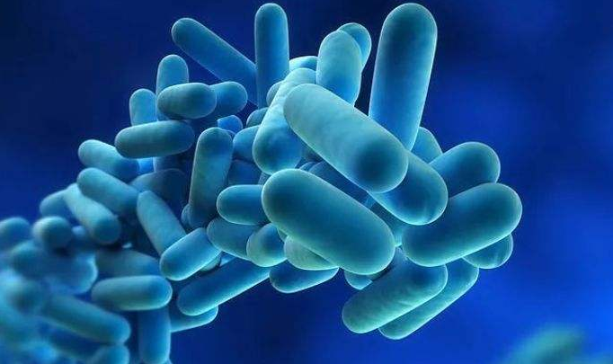 美国_社会|死亡率远超肺炎，疫情没结束美国疾控又发警报，致命细菌正在扩散