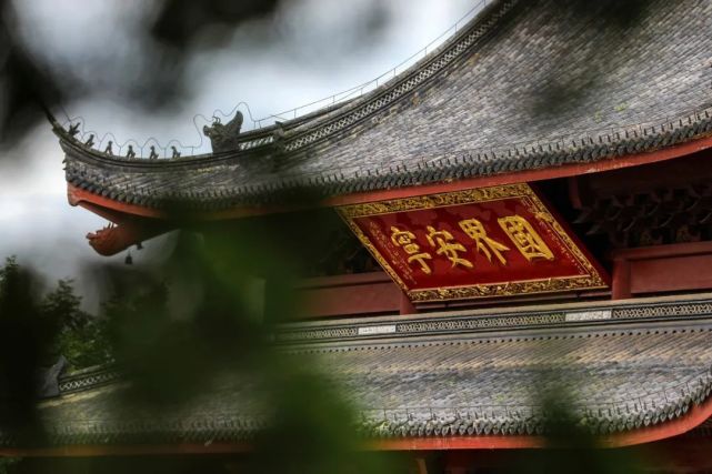 记湖州白雀寺之蔷薇