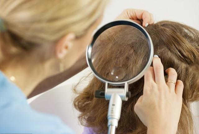 新冠|澳洲知名医疗专家称用除虱子药加抗生素可治新冠，遭其他专家反对