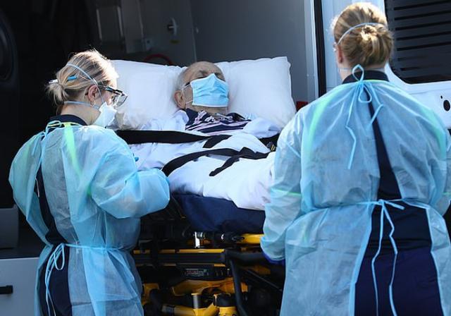 新冠|澳洲知名医疗专家称用除虱子药加抗生素可治新冠，遭其他专家反对