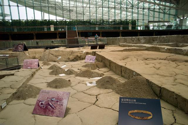 孟子·告子上|金沙遗址发现上千象牙，为何挖到一半就叫停？专家：再挖就要后悔