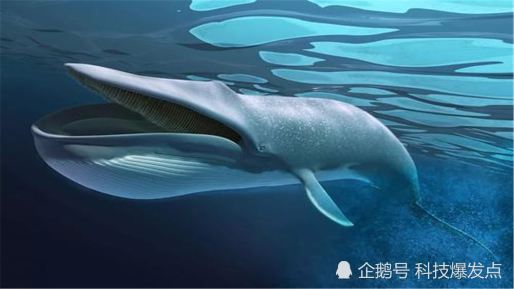 地球|宇宙如此之大，会不会在地球外，有比星球还要大的生物呢？