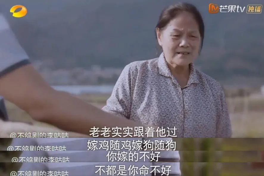 凌霄|这次准备网暴她了吗？