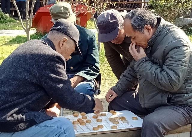 10岁到20岁的青少年,则很少有人会下象棋,他们的父母给他们报的培训班