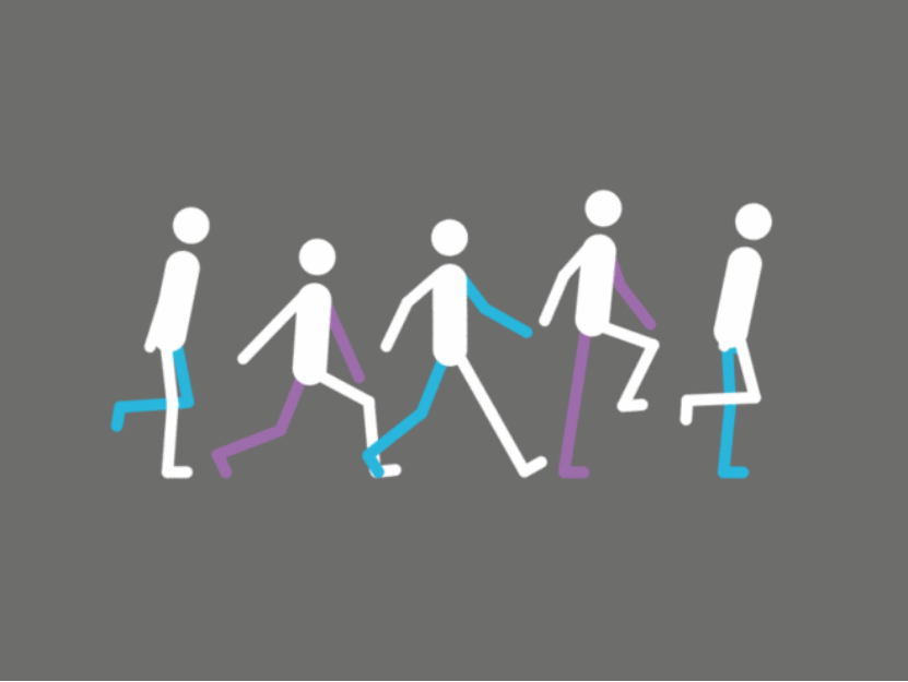 狂犬病毒|蚊子会传播狂犬病吗？