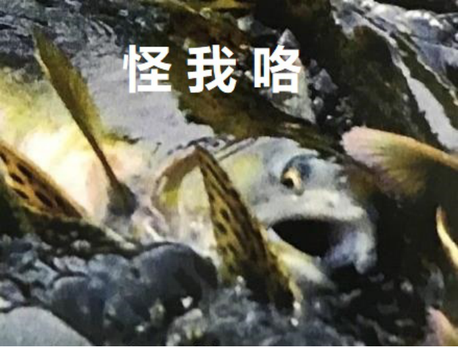 狂犬病毒|蚊子会传播狂犬病吗？