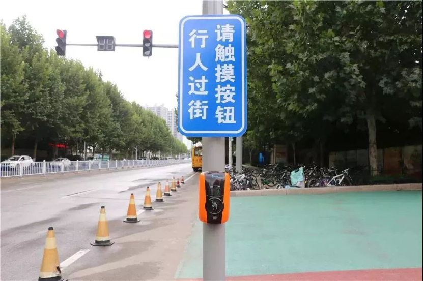 狂犬病毒|蚊子会传播狂犬病吗？