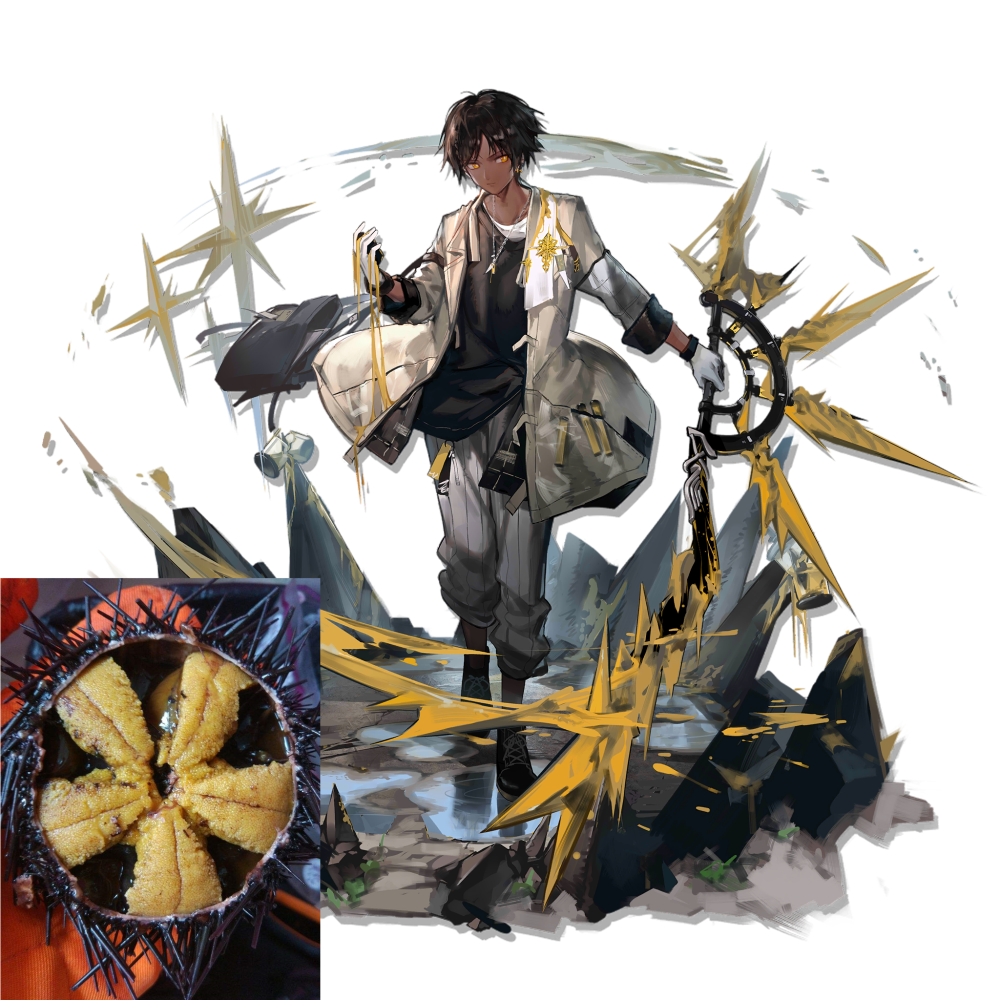 明日方舟棘刺为何被称为海胆浅谈其不同的原型区别