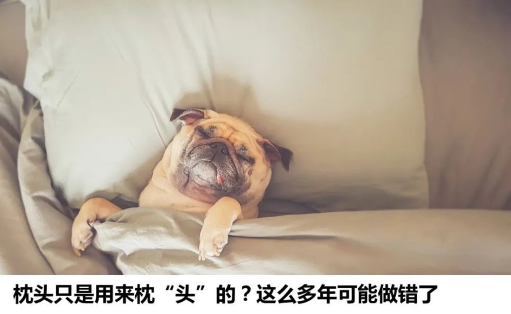 石墨烯|石墨烯内衣真的有那么神奇吗？别被商家的赚钱策略给迷惑了