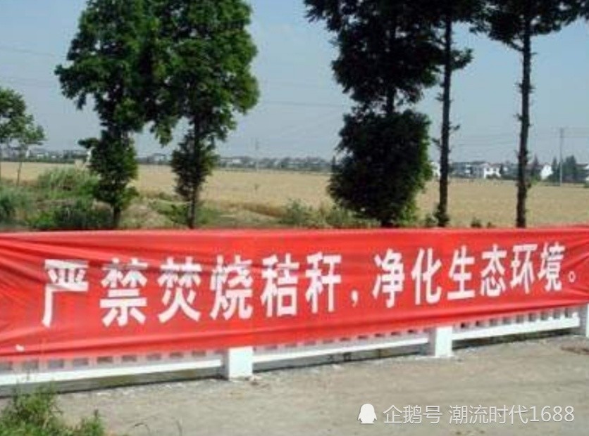 玉米秸秆|禁止焚烧秸秆，农民把秸秆还田还地，应如何做下茬才不会受影响