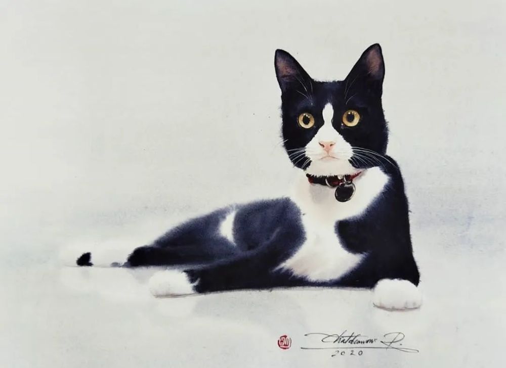 水彩纸|这样的小猫咪你喜欢吗？