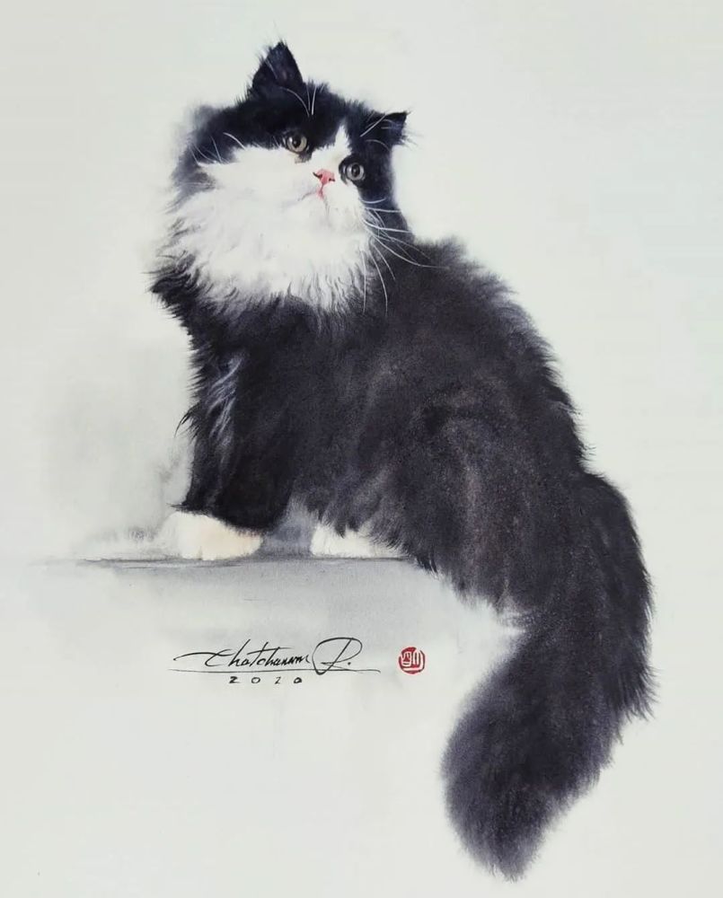 水彩纸|这样的小猫咪你喜欢吗？