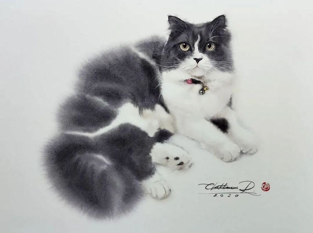 水彩纸|这样的小猫咪你喜欢吗？