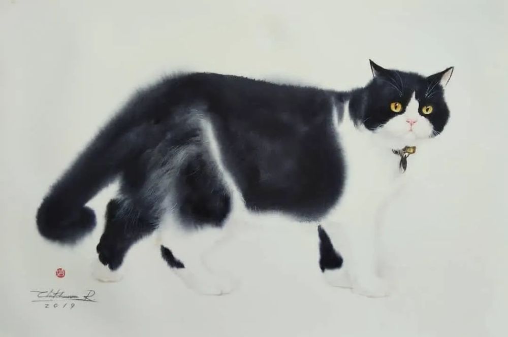 水彩纸|这样的小猫咪你喜欢吗？