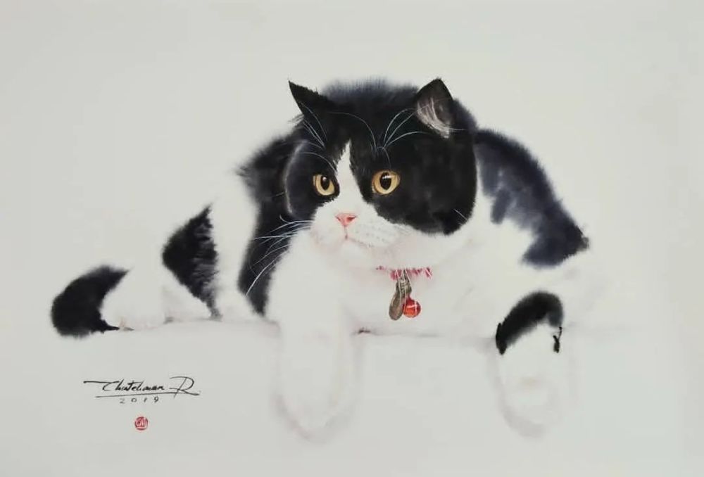 水彩纸|这样的小猫咪你喜欢吗？