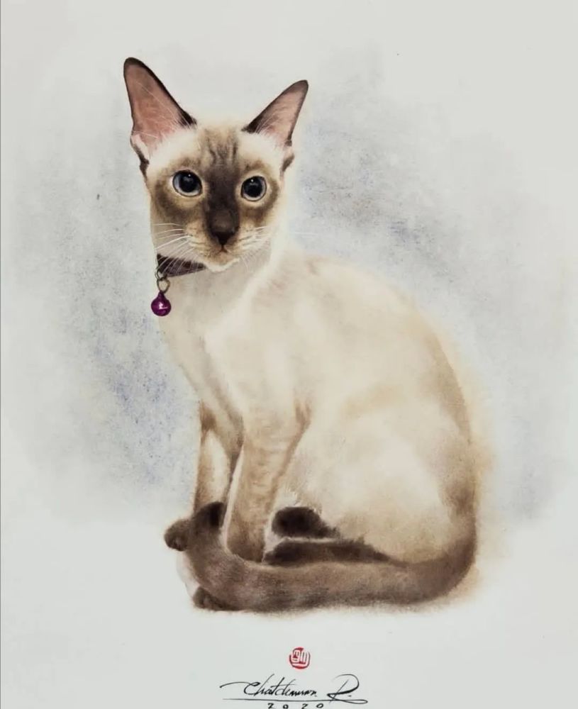 水彩纸|这样的小猫咪你喜欢吗？