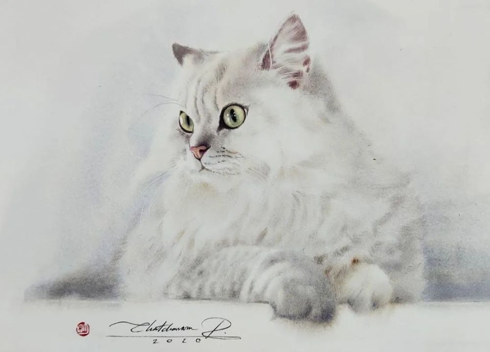 水彩纸|这样的小猫咪你喜欢吗？