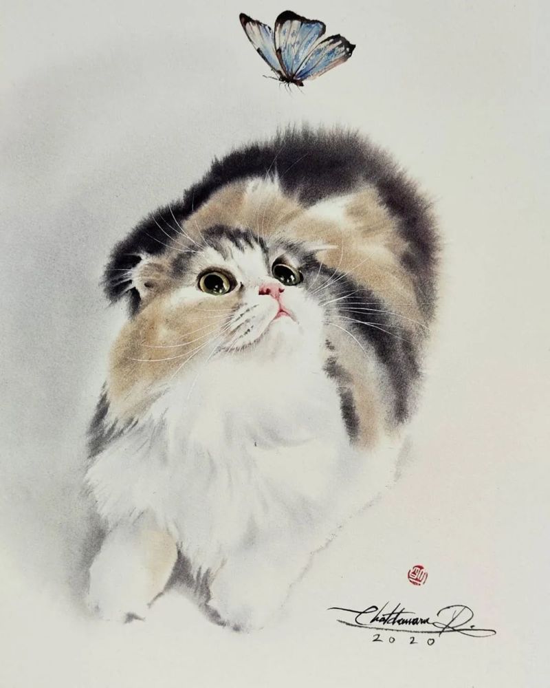 水彩纸|这样的小猫咪你喜欢吗？