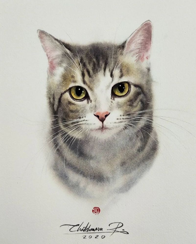 水彩纸|这样的小猫咪你喜欢吗？