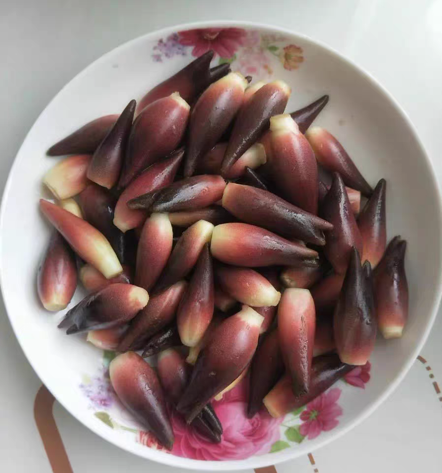 阳荷姜又叫野姜,它和姜是没有关系的,它不仅可以吃,还有保健的作用