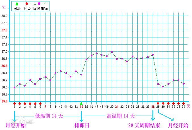 测体温就能看出健康状况 快来看看女性快速了解自己的小秘诀 腾讯新闻