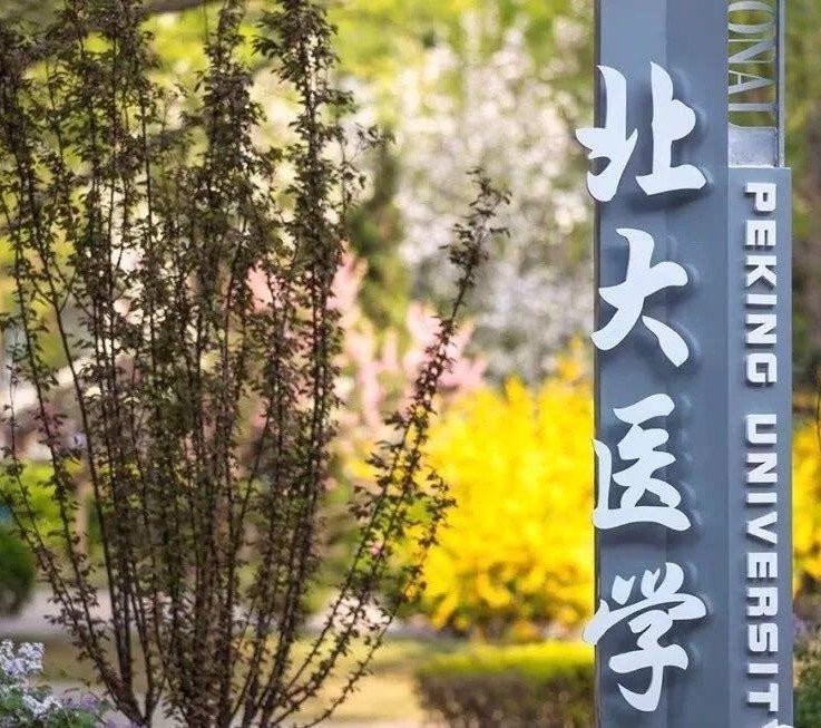 2020北京高校招生排名_2020世界一流大学学术排名,清华大学没挤进前5,复旦