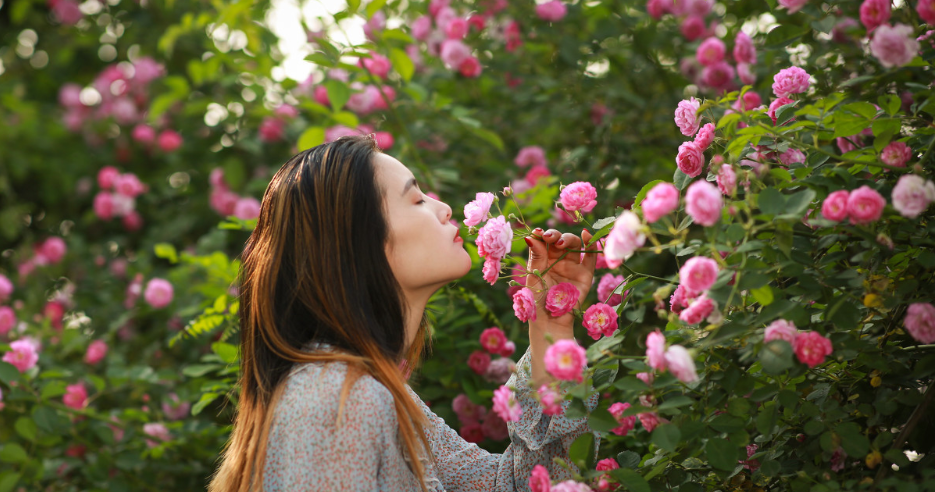 曾国藩|人有三“顺”，一顺则百顺