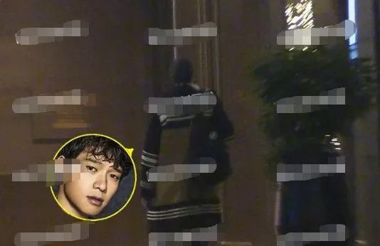 杨幂|第五次被拍，连最有吃瓜精神的网友都麻木了…