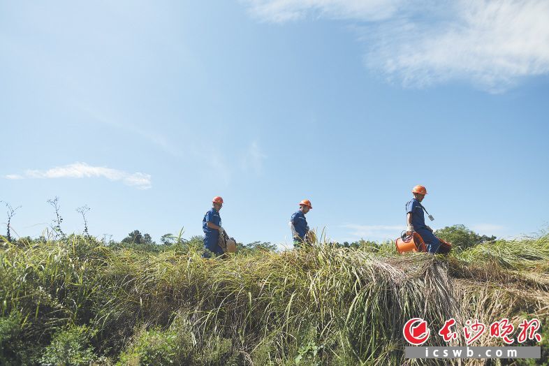 镇金塘村铁路塘组,跟随巡线队队长易建伟钻进山林和田间地头进行巡查