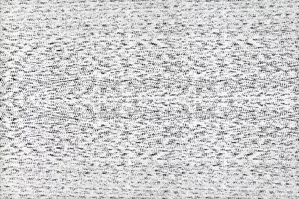 罗伯特·威尔逊|他俩曾和鸽子较劲，却歪打正着获得诺奖