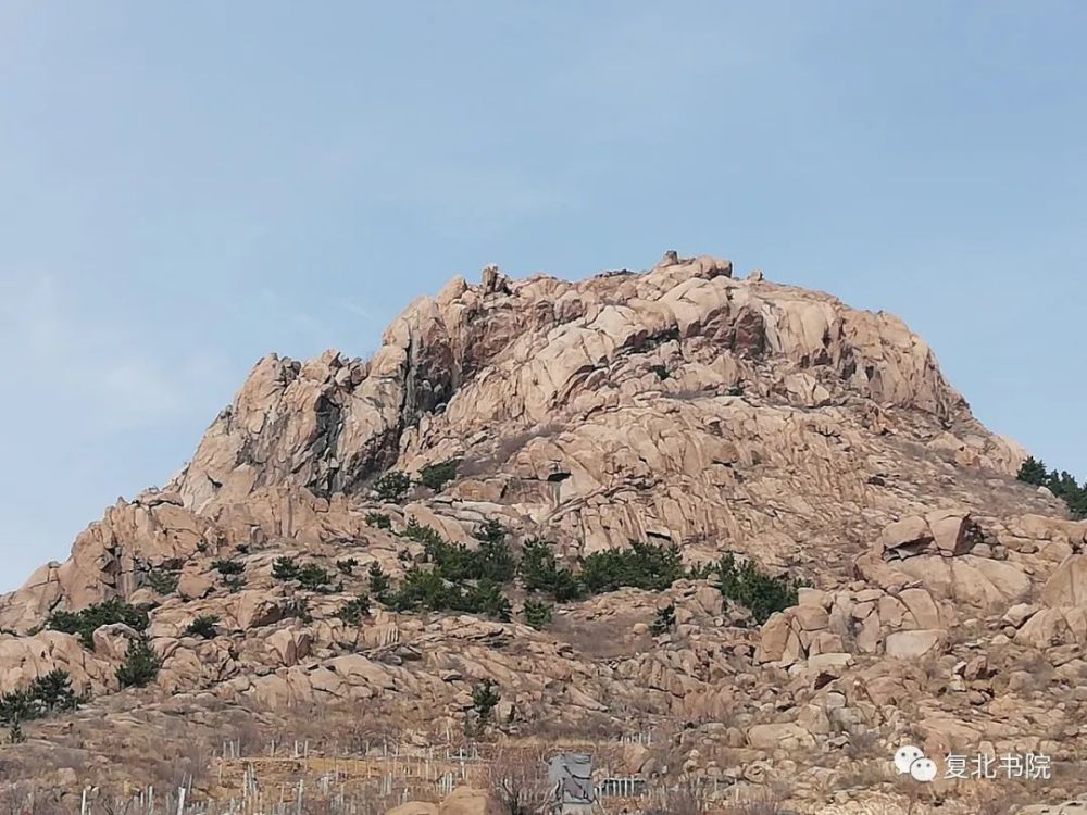 建构|古今中外人文学科史上最年轻的理论体系建构者