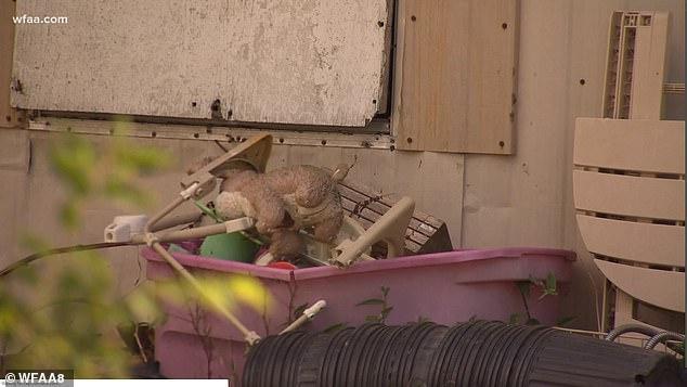 警长|美夫妇将1周大儿子遗体扔焦油桶浸泡，警长：干了30年第一次见