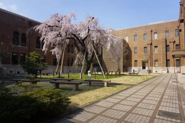 名校志向塾日本女子大学特辑 从国立名门到贵族女校 国立 横滨国立大学 东京女子医科大学 日本 教育 日本女子大学 大学