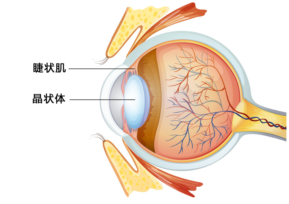 孩子散瞳是怎么回事？散瞳验光的那些事！