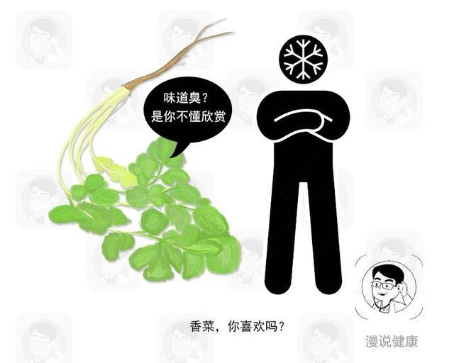 香菜|不爱吃就是挑食？被当选“最难吃”的香菜，为何有人喜爱如命？