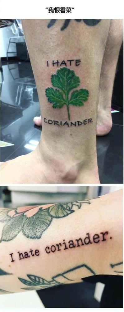 香菜|不爱吃就是挑食？被当选“最难吃”的香菜，为何有人喜爱如命？