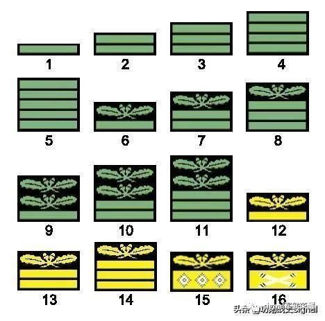 1942年迷彩軍銜1942年新制定的軍銜共涵蓋了16個等級,寬度約為10cm