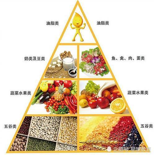 4.奶,奶制品,大豆及其坚果类位于第四层.