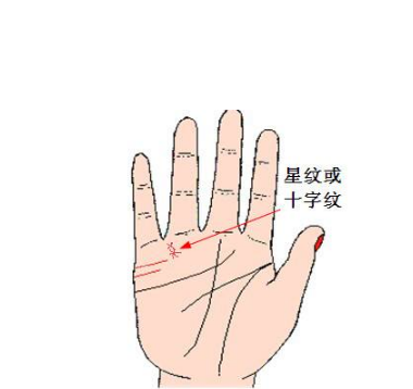 具有哪些手相特征的人最招财 腾讯新闻