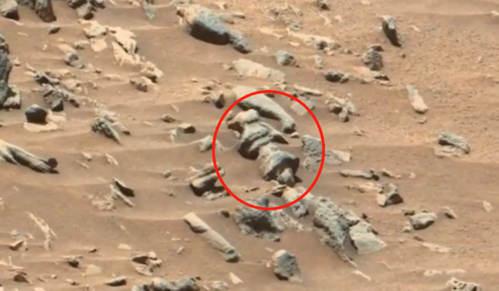 火星生命|会是火星生命吗？火星车拍到形似“蓝莓”的物体，照片清晰可见