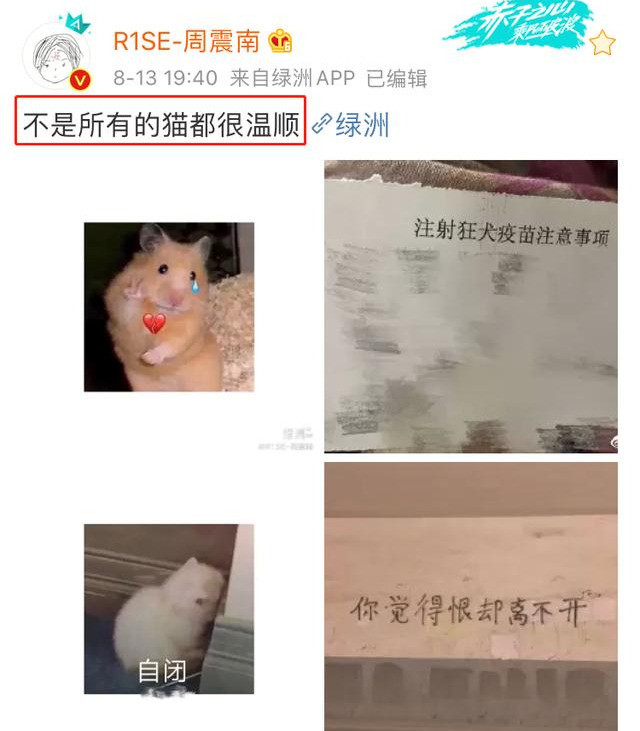 周震南晒狂犬疫苗单，队友回了两个字，真是亲兄弟